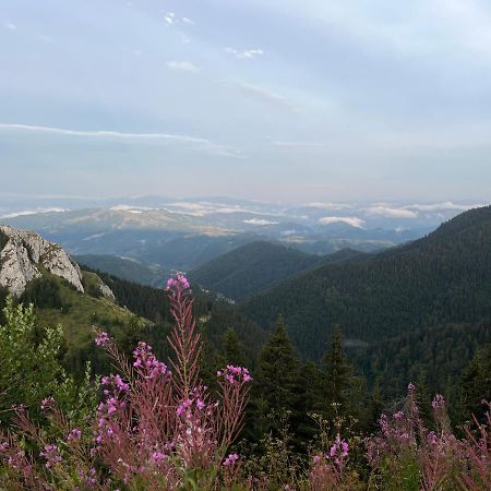Lux Apartman A18 & Spa Centar Kopaonik Exterior foto