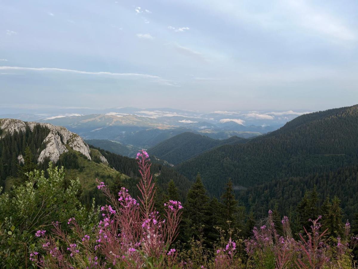 Lux Apartman A18 & Spa Centar Kopaonik Exterior foto